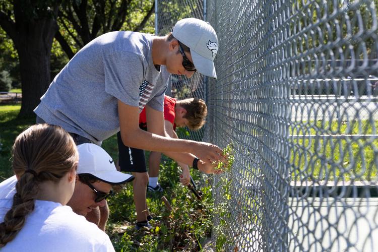 Woods Tennis expansion , 7.28